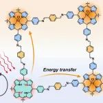 JACS：同时质子化和金属化卟啉共价有机框架以增强光动力治疗