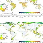 Nature Geoscience | 南大邹欣庆团队在揭示全球河流-近海连续体有机碳转移和积累模式方面取得重要进展