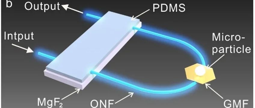 ACS Photonics：基于微纳光纤的自检测微天平