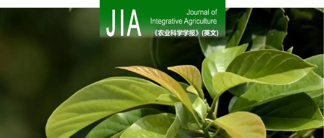 JIA | 青岛农业大学园艺学院王华森教授团队植物株高的调控因素综述论文