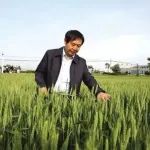 康振生院士谈揭开小麦条锈菌变异之谜！