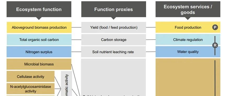 【文献精选】Nature Communications：可持续土地管理增强环境和未来气候下的生态和经济多功能性
