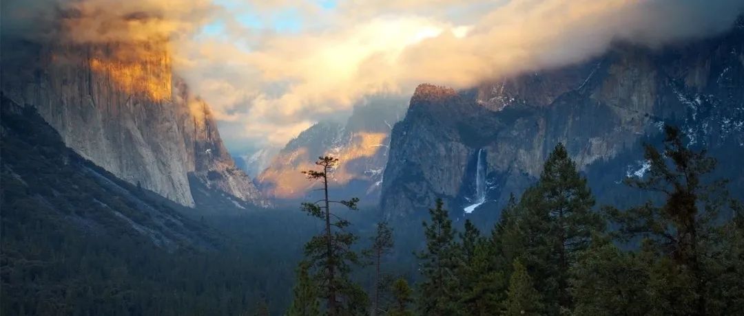 Nature 正刊！全球200多位研究人员基于17738个森林样地数据集发现生物多样性可以防止非本地树种的入侵