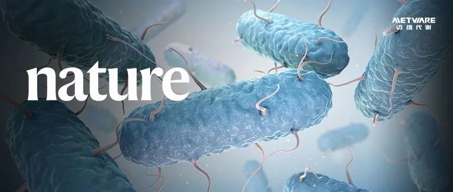 Nature | 重大发现！这种新的抗生素不伤肠道菌群，只杀革兰氏阴性菌