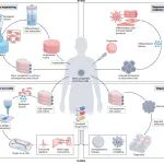 研究进展：类器官芯片 | Nature Reviews Bioengineering