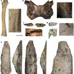 3篇Nature/Science | 兰州大学陈发虎等团队合作发现丹尼索瓦人在青藏高原持续生存到距今约4万年前