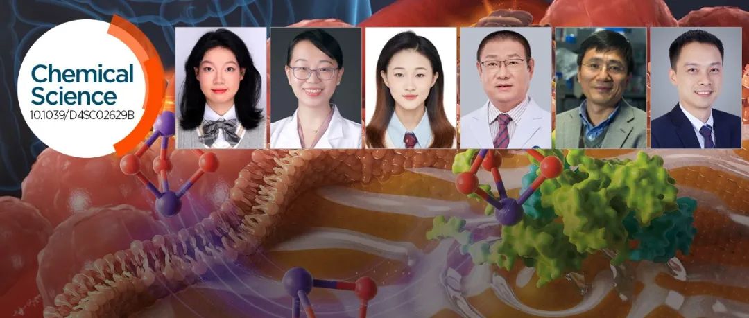 中山大学阳新明团队: 发现肿瘤耐药性潜在治疗靶点 XIAP 有效抑制剂