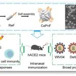 ACS Nano | 武汉病毒所/生物安全大科学中心崔宗强团队在广谱抗新冠病毒疫苗研究中取得重要进展