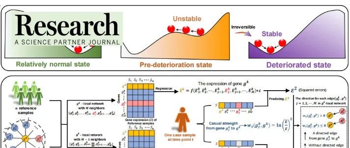 Research|全新因果网络熵的临界点预警模型(SCNE)可探测复杂疾病恶化临界状态—华南理工大学团队合作新进展