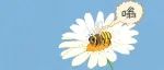 蜜蜂为什么会嗡嗡嗡？蜜蜂越大，嗡嗡声越大？