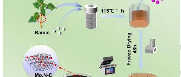 重庆工商大学《ChemNanoMat》：苎麻废料制备氮钼双掺杂多孔碳，用于高性能锂硫电池