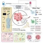 多年磨一剑！华中科技大学马丁/高庆蕾/方勇等合作最新Cell
