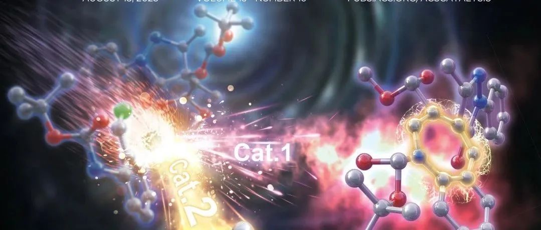 ACS Catalysis | 调控苯甲醛裂解酶催化活性和化学选择性实现α-羟甲基酮及手性1,2-二醇类化合物的高效合