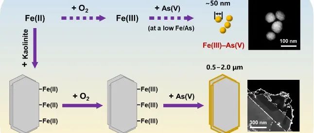 文献速递 | 成都理工大学蒲生彦团队ES&T：高岭石在亚铁氧化过程中通过非均相路径强化固砷