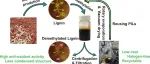 大连工业大学孙润仓、高策：在温和无卤离子液体中对工业木质素进行去甲基化反应并增强其抗氧化能力