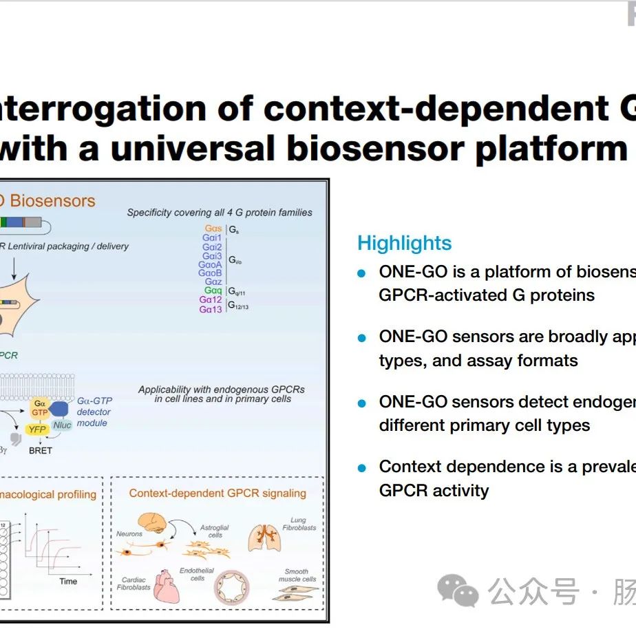 Cell | 利用通用生物传感器平台直接检测下游相关的 GPCR信号通路