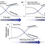 Water Research | 地化所系统揭示了喀斯特湖库生产力中的碳限制与碳施肥效应