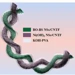 南京工业大学冯永宝和李秋龙团队《ACS AMI》：用Bi2O3-Bi2S3分层异质结构实现长寿命纤维状水系Ni//Bi电池