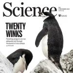 一天睡1万次，每次睡4秒钟！【Science封面研究】发现它的终极打盹秘诀