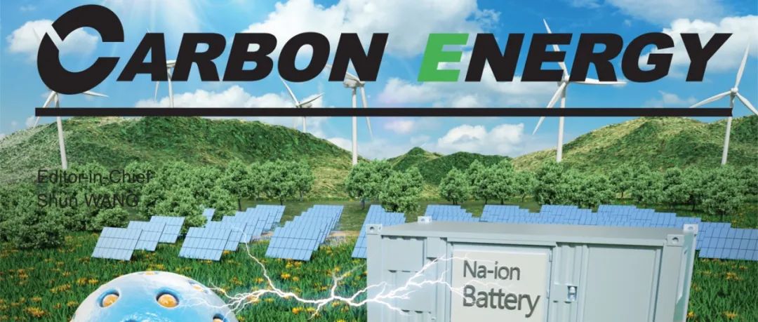 同济大学吕洪&张存满Carbon Energy综述：磁场辅助电催化：机制和设计策略