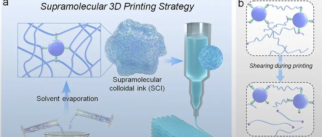 华科大朱锦涛、张连斌教授团队 AFM：超分子3D打印策略实现可修复、可回收的3D结构色物体的一步构筑