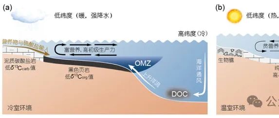 寒武纪海洋碳循环新模型