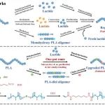 四川大学王玉忠院士团队 Macromolecules：无溶剂、低催化剂含量一锅法回收聚乳酸为性能更优的聚合物