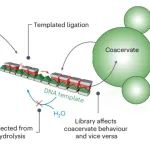 研究进展：化学燃料 | Nature Chemistry