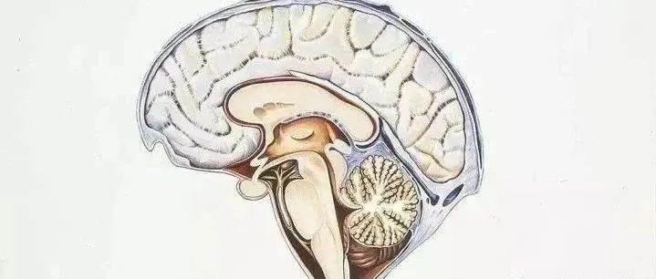一文理清系列：昏迷患者的评估及处置