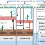 中国石油大学马杰团队Environ. Pollut.：LNAPL类型对于源自然衰减NSZD机制及速率的影响