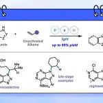 JACS：膦/光共催化烯烃的分子间氢胺化反应