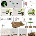港中大张立教授/浙大潘程枫教授等 Nat. Mater.  ：受喷瓜启发 - 基于断裂诱导功率放大机理的光驱动水凝胶弹射器