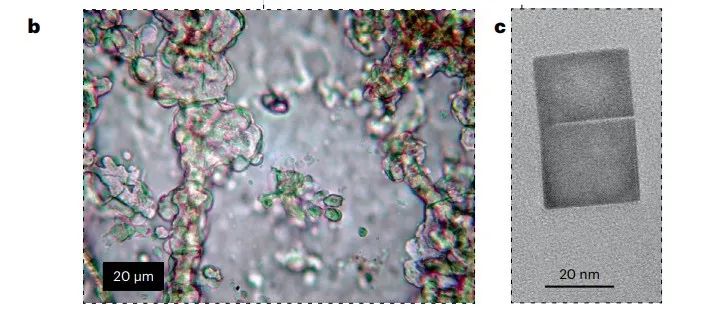 Nature Geoscience：神奇的二氧化硅