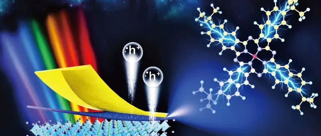 Sci. China Chem. 2024年第8期目录