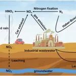 华南理工大学陈燕、刘学明等Chem Catalysis：电化学还原硝酸盐为氨——从基础研究到实际应用