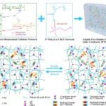 广西大学黄柏团队 Nano Energy：基于纳米纤维素的无液体、坚韧和透明离子导电弹性体 - 用于多功能传感器和摩擦纳米发电机