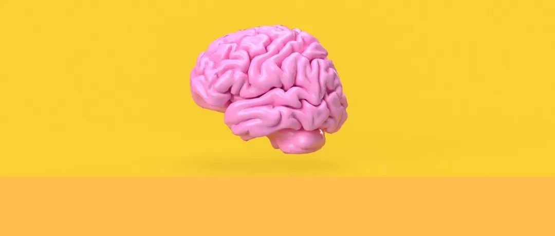 南通大学施炜教授课题组Science Advances｜衰老的骨髓如何驱动脑外伤后的神经炎症？