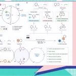 中科院大连化物所陈庆安课题组Nat. Commun.：可见光诱导烯烃化学选择性1,2-双杂芳基化
