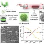 上海交通大学Nature Communications：利用具有成本效益的热解碳从电子废弃物浸出液中高效回收金