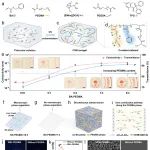 南科大葛锜教授 Nat. Commun.：3D打印双连续相离子凝胶构建高性能离子传感器