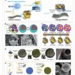 清华大学《AFM》：综述！碳纳米管和碳涂层在硅基阳极中作为导电网络的研究进展