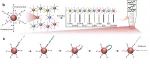 厦门大学夏宁邵等团队合作最新Nature子刊