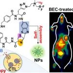 ACS Nano：靶向颗粒酶B的智能PET显像探针用于监测肿瘤对免疫治疗早期应答