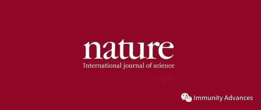 Nature | 中山大学张常华团队揭示NBS1乳酸化是有效DNA修复和化疗抗性的机制