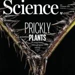 Science封面 | 植物皮刺的趋同进化-若不敢抓住荆棘，就永远不该渴望玫瑰