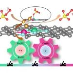 南开大学李铁龙、王海涛团队ACS ES&T Eng.：植物多酚驱动的聚合限域策略制备高分散FeCo双金属催化剂实现高效的废水净化