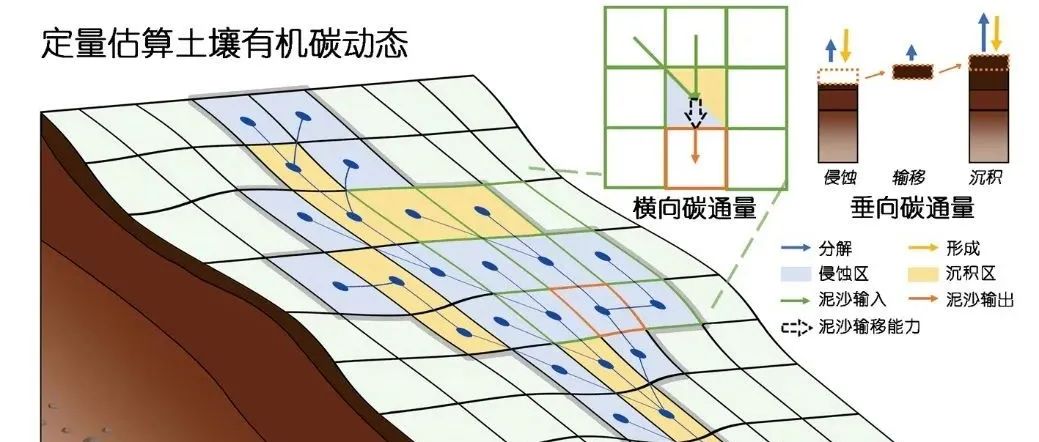 流域水力侵蚀碳汇效应对土壤碳流失的平衡作用