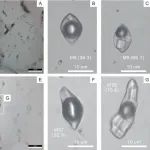 EG+CG+OGR：流体包裹体研究的基础、困难与新方法