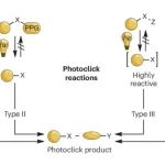 研究进展：点击化学 | Nature Reviews Chemistry