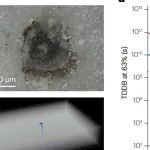 研究进展：电介质击穿 | Nature Reviews Materials